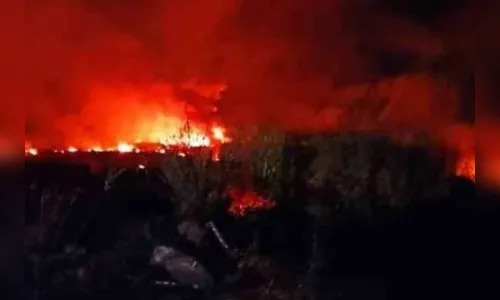 Avião ucraniano que caiu transportava 11 toneladas de armamento; vídeo