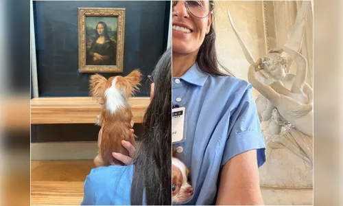 Demi Moore é criticada na web após levar cachorro no Museu do Louvre
