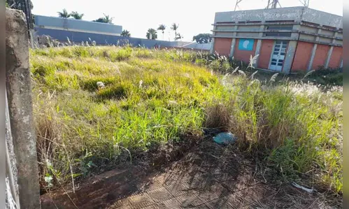 Moradores de Jardim Alegre reclamam de matagal em terreno de operadora