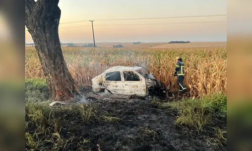 Motorista colide contra árvore e morre após carro pegar fogo