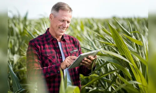 Curiosidades sobre o agronegócio que provavelmente você não sabia