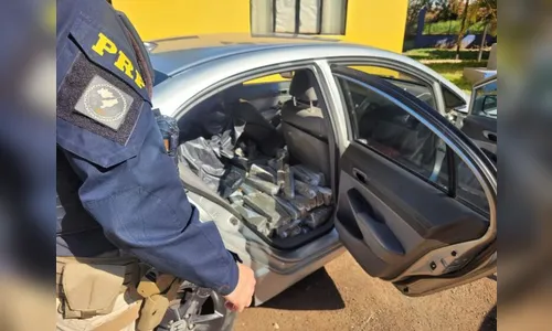 PRF apreende mais de 200 quilos de maconha no Paraná