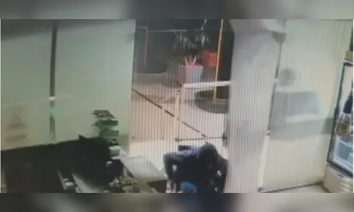 Cadeirante invade conveniência, comete furto e é preso, no Paraná
