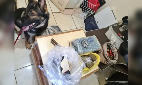 Gaeco e Depen cumprem mandados contra guardas prisionais no PR