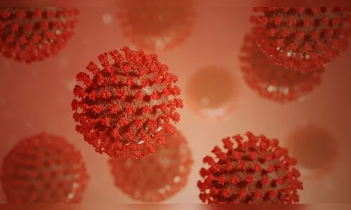 Apucarana registra 11 casos da Covid-19 nesta quarta-feira (03)