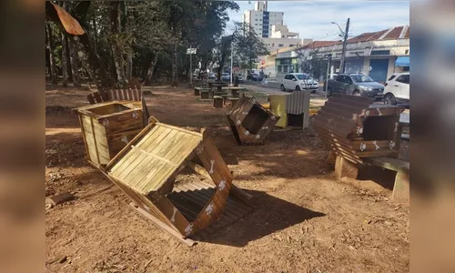 Mulher destrói abrigos para cachorros que vivem na rua, no Paraná