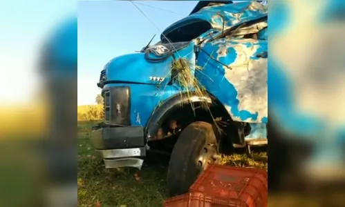 Caminhão carregado com tomate bate contra árvore na PR-466; Veja