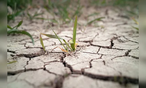 Região enfrenta inverno mais seco dos últimos tempos; entenda