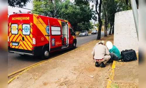Motociclista atropela cachorro e sofre queda em bairro de Apucarana