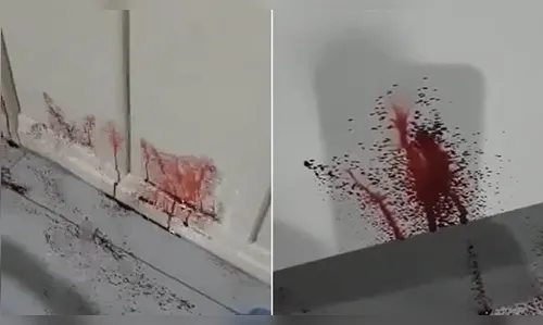 Fim do mistério: entenda o motivo da casa que estaria jorrando sangue