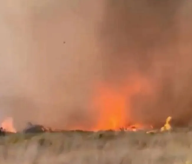 Incêndio florestal mobiliza bombeiros desde o início da semana