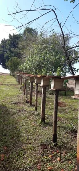 O curso contará com apoio do Serviço Nacional de Aprendizagem Rural (Senar)