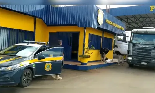 Trio paraguaio é preso no PR com dinamites escondidas em carreta