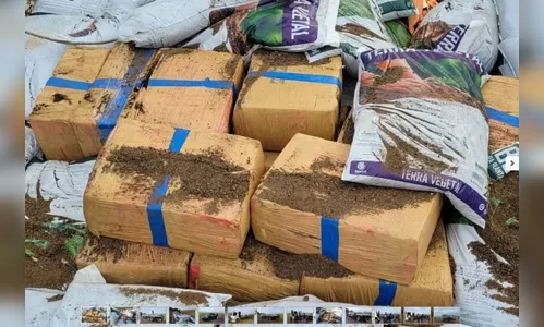 Polícia Civil de Maringá apreende caminhão 'recheado' de maconha