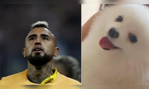 Arturo Vidal oferece recompensa milionária por cão desaparecido