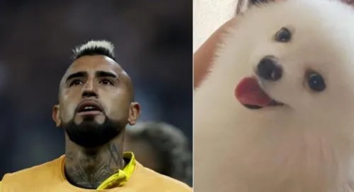 Arturo Vidal fez apelo pelas redes sociais para encontrar cão desaparecido.