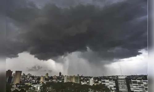 Ventos em Curitiba podem chegar a 59 km/h; Defesa Civil faz alerta