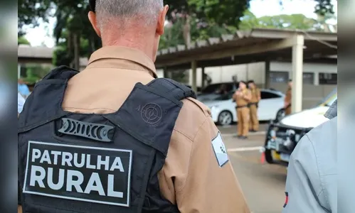 Ladrões levam até os panos de prato da casa, em sítio de Califórnia