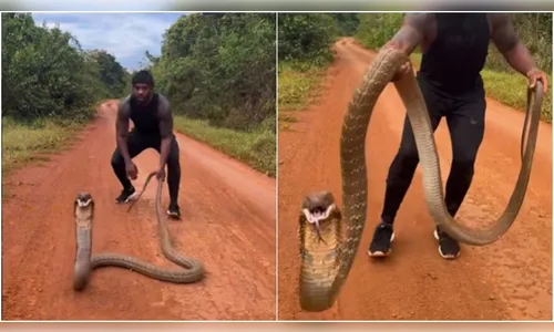 Impressionante: 'Tarzan' segura cobra-real e quase é atacado; vídeo