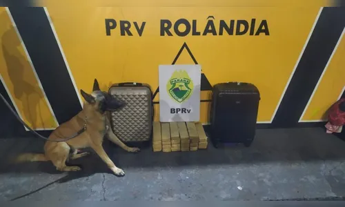 PRE apreende 19 KG de maconha em Rolândia; uma mulher foi presa