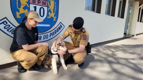 O cão, de nome Deppy, já vem fazendo sucesso com a criançada