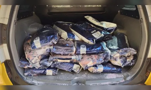 Agricultor encontra 600 kg de agrotóxicos furtados