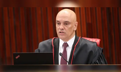 Plenário: dados de candidatas e candidatos devem ser públicos