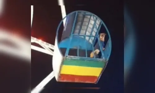 Inusitado: 'cachorro caramelo' se diverte em roda-gigante no PR; veja