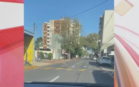 Uma ave silvestre, que aparenta ser uma siriema, corre rapidamente pela Rua Munhoz da Rocha