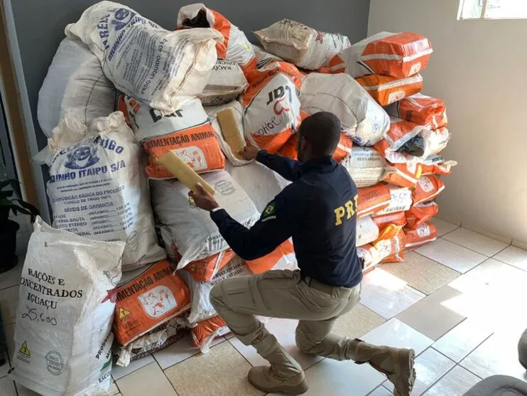 Dentro do baú havia 2037 quilos de maconha embalados em sacos de ráfia