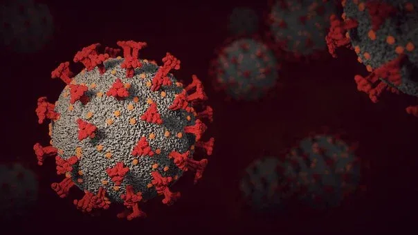 Em 24 horas, foram registradas 10.950 contaminações, elevando o total a 34.591.362