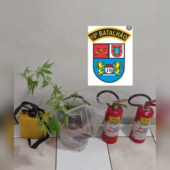 Os objetos furtados e a planta foram apreendidos