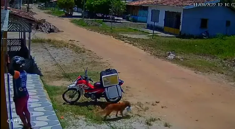 Inusitado de um cachorro muito esperto roubando uma marmita de um entregador.