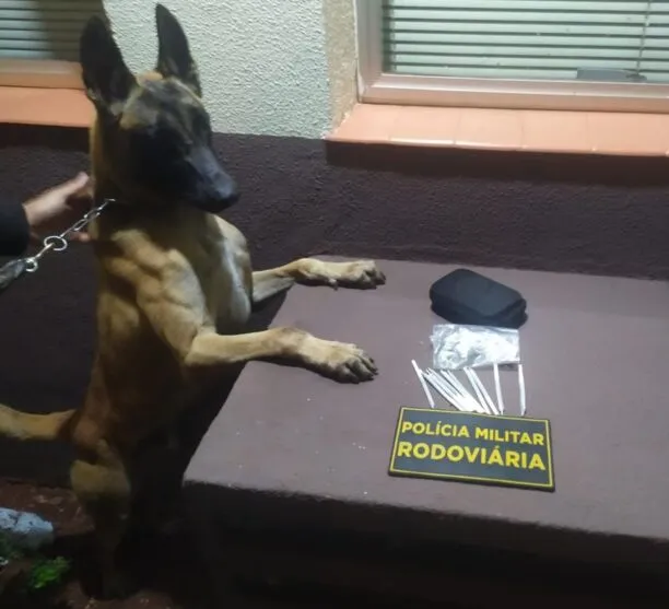 O cão indicou que em uma bolsa que estava embaixo dos pés de um dos passageiros poderia conter algo ilícito