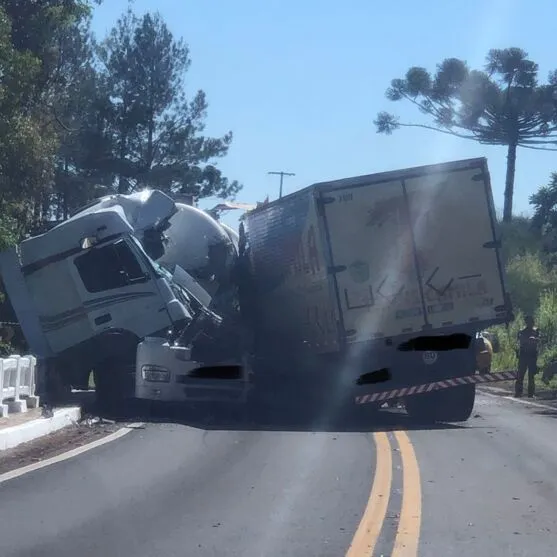 Os dois motoristas morreram após a colisão na PR-445