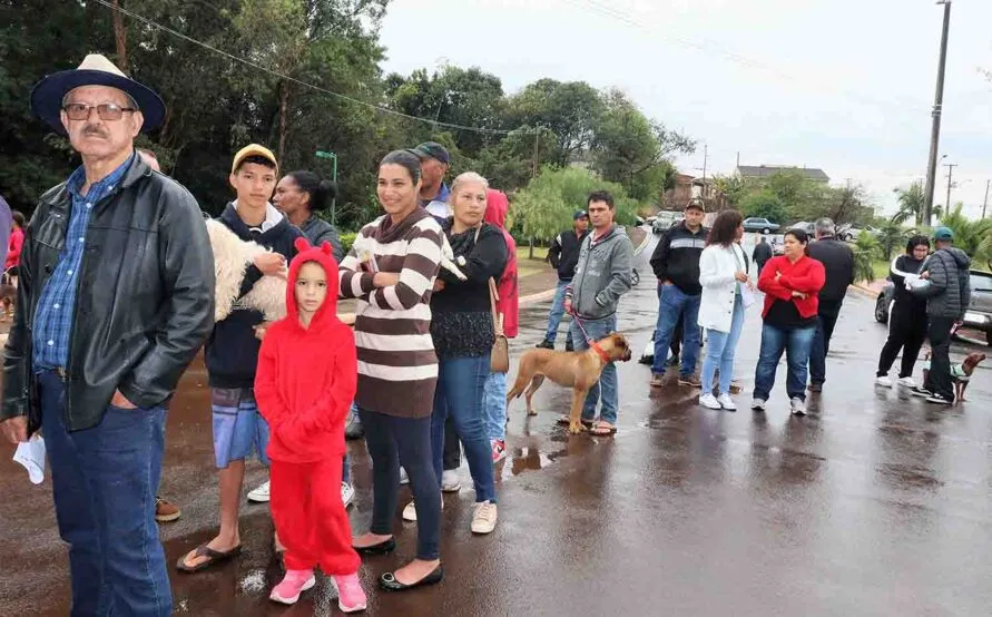 Prefeitura de Ivaiporã através do CastraPet castra 238 cães e gatos