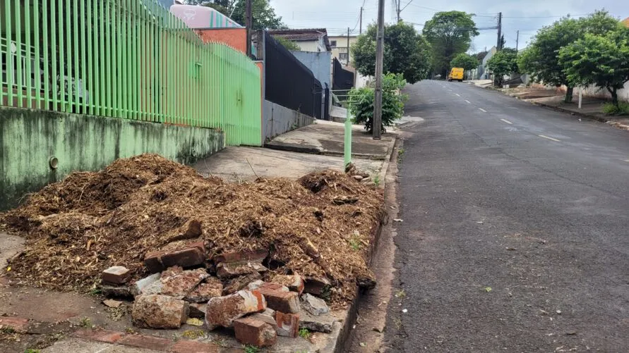Prefeitura quer repor árvores nas ruas próximas do centro de Apucarana