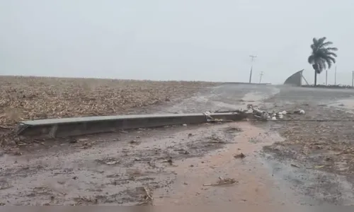 Ventos de até 100 Km/h danificam 123 postes no Norte do Paraná
