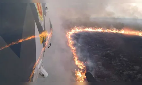 Incêndio atinge às margens da represa do Rio Iraí, no Paraná