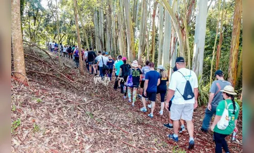 Apucarana realiza 1ª Caminhada Internacional da Primavera; saiba mais