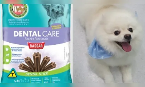 Fábrica de ração em SP é interditada após morte de cães intoxicados