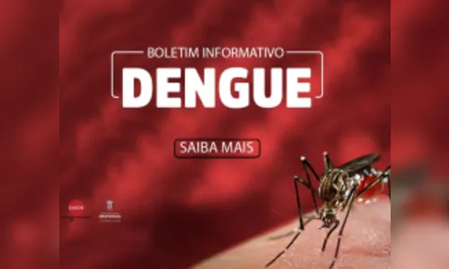 Nesta sexta (09), Arapongas confirma 5 casos de dengue; saiba mais
