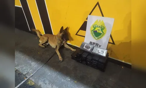 Polícia apreende 20 quilos de drogas em ônibus interestadual; assista