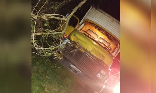 Homem e cavalo morrem após atropelamento no Vale do Ivaí