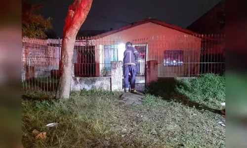 Mulher esfaqueia pitbull e salva marido de ataque no Paraná