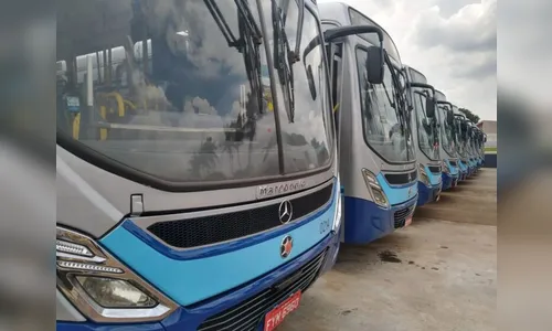 Veja os horários dos ônibus de Apucarana e Arapongas neste domingo (2)