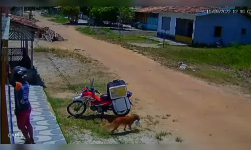 Cachorro rouba refeição de motoboy distraído; veja