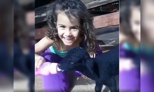 Após ser rejeitada, carneira é adotada e vira amiga de criança