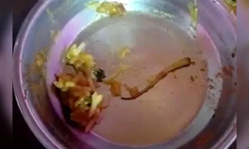 Homem é internado após encontrar cauda de lagarto em prato