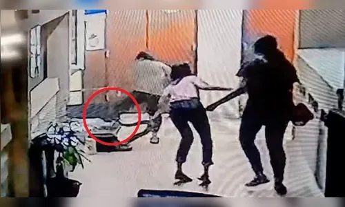 Cobra se esconde embaixo de mesa e ataca funcionária em escritório